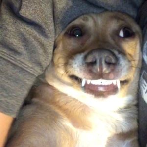 Meet your Posher, Kara